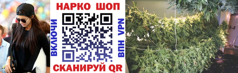 Псилоцибиновые грибы Сольцы