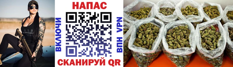 Шишки марихуана конопля Сольцы