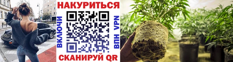 купить закладку  Сольцы  Бошки марихуана OG Kush 